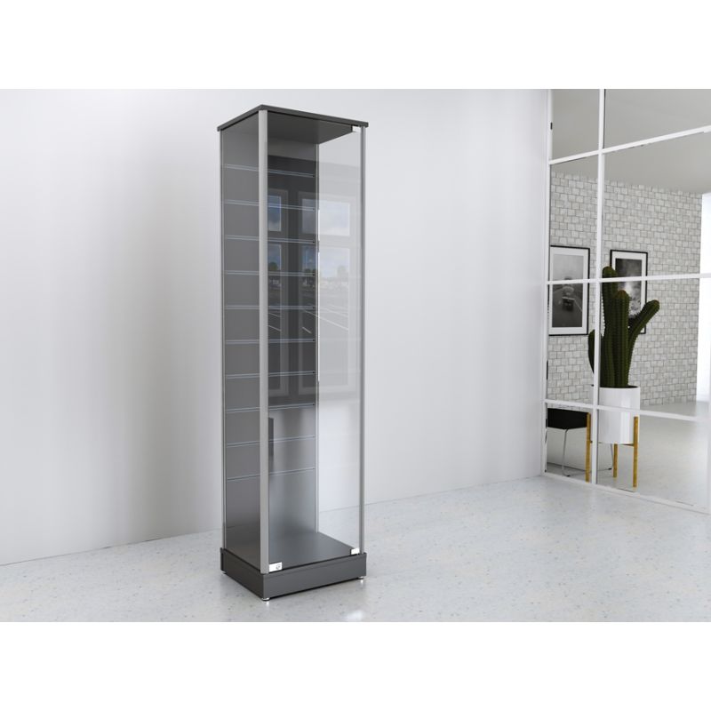 Gablota szklana 50x45x190cm, panel Spacewall