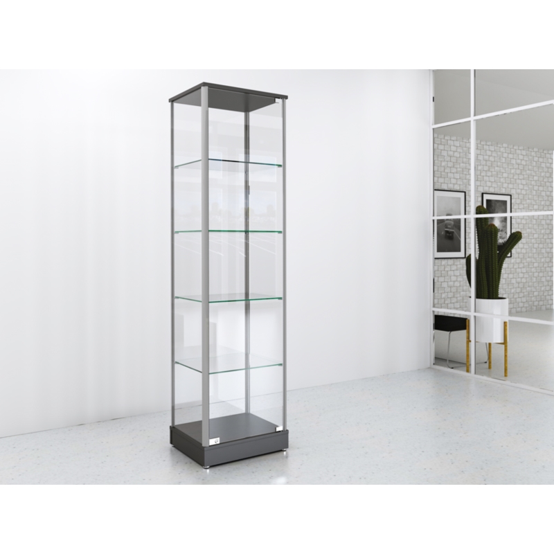 Gablota szklana 50x45x190cm pełna