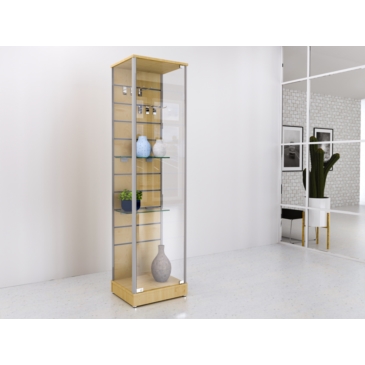 Gablota szklana 50x45x190cm, panel Spacewall