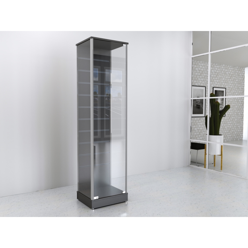 Gablota szklana 50x45x190cm, panel Spacewall